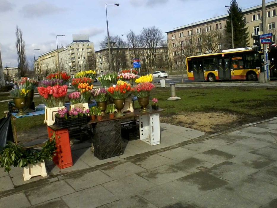 sprzątanie na wiosnę - Polka