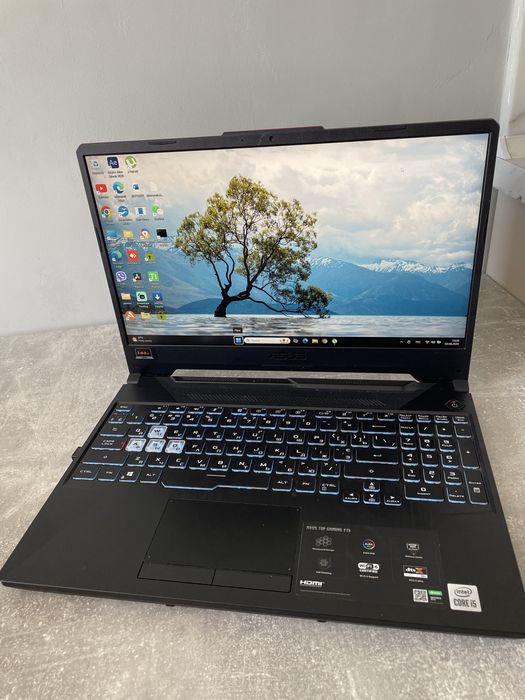 Компютер ASUS FX506LH-HN236   16 Гб