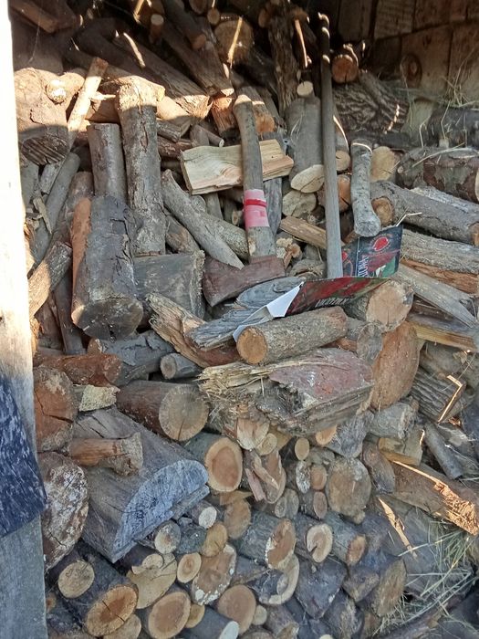 Drzewo pocięte dąb,buk, sosna