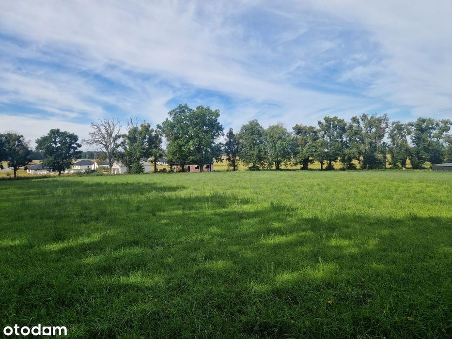 Działka budowlana 2921 m² przy lesie - Widok 3