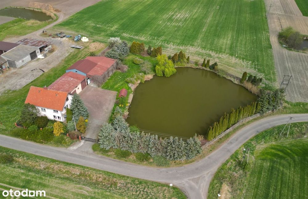 Dom na sprzedaż, Ozorków (gw), 5 pokoi