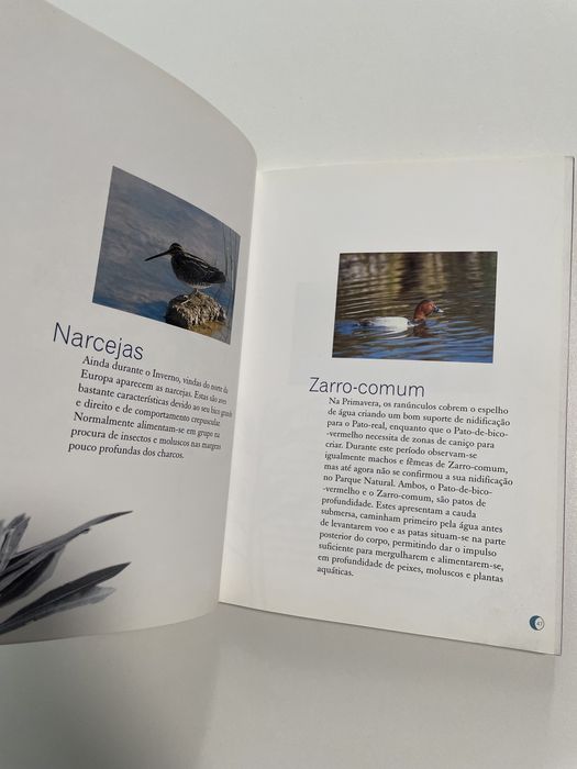 Livro Aves do Parque Natural do Vale do Guadiana
