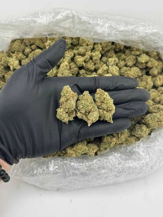 1000g dried CBD Cannawhite Truffle/THC <0.3%