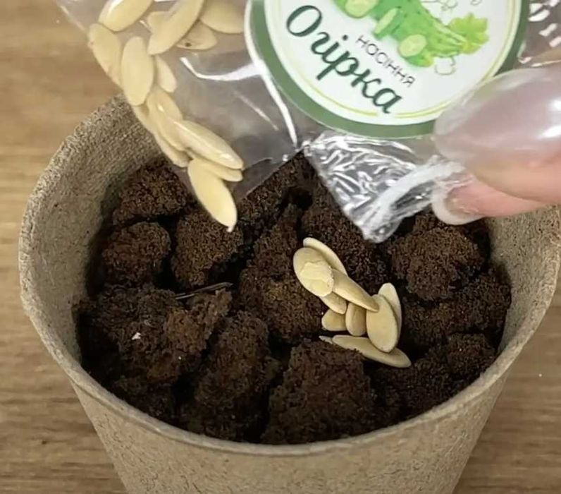 тепличка дитяча теплиця з поливом ботанічні експерименти