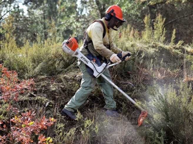 Limpeza e desmatizacao de terrenos