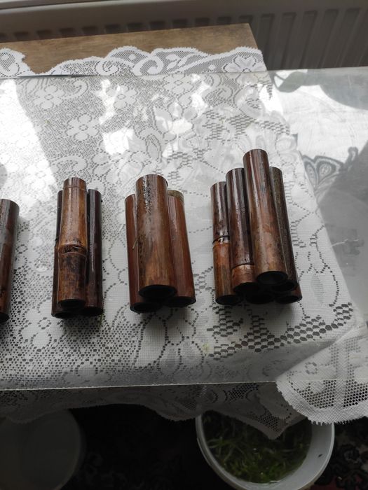 Kryjówki dla krewetek glonojadów