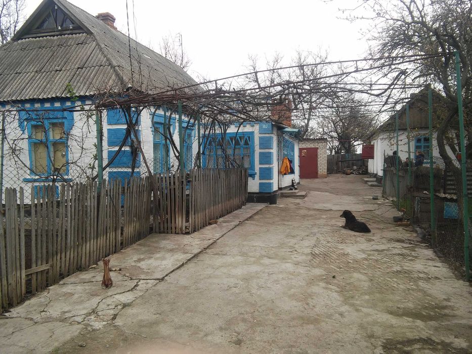 Будинок у селі Запорізьке