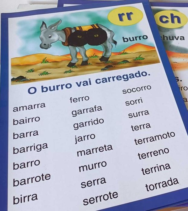 Kit Educativo Gailivro – Novo sem etiqueta | Individual ou Pack