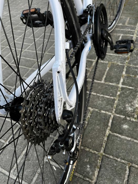 Rower 28 Kands Crossline 1100, rama 21"