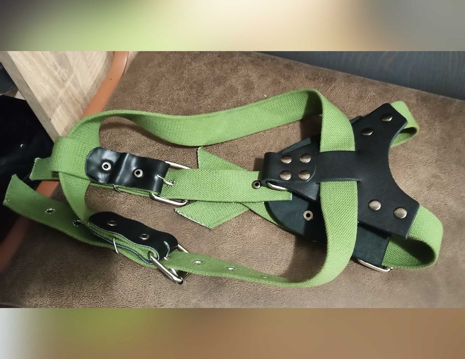 Шлейка для собаки Canem брезентова