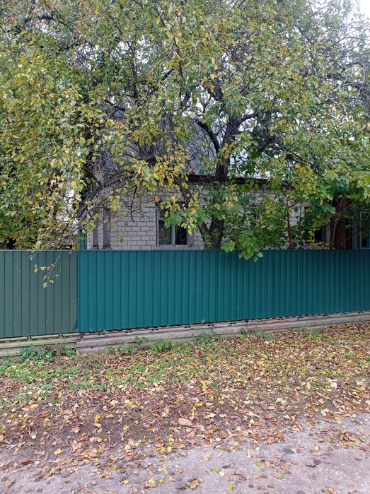 Двоповерховий  будинок в Городні на два входи.