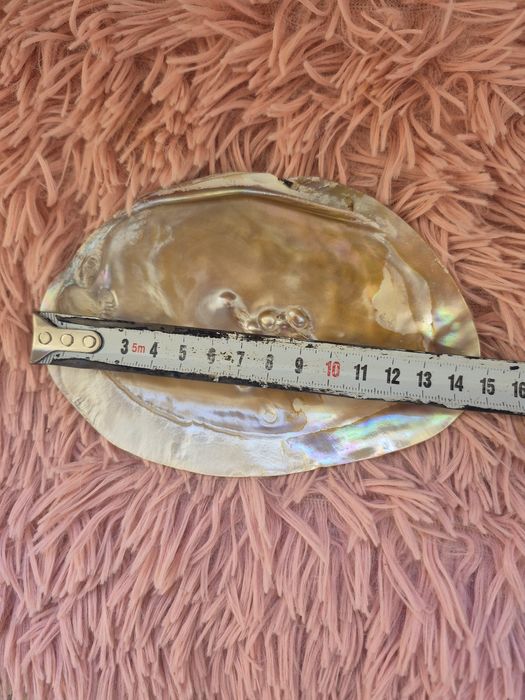 Натуральная ракушка с жемчужинами