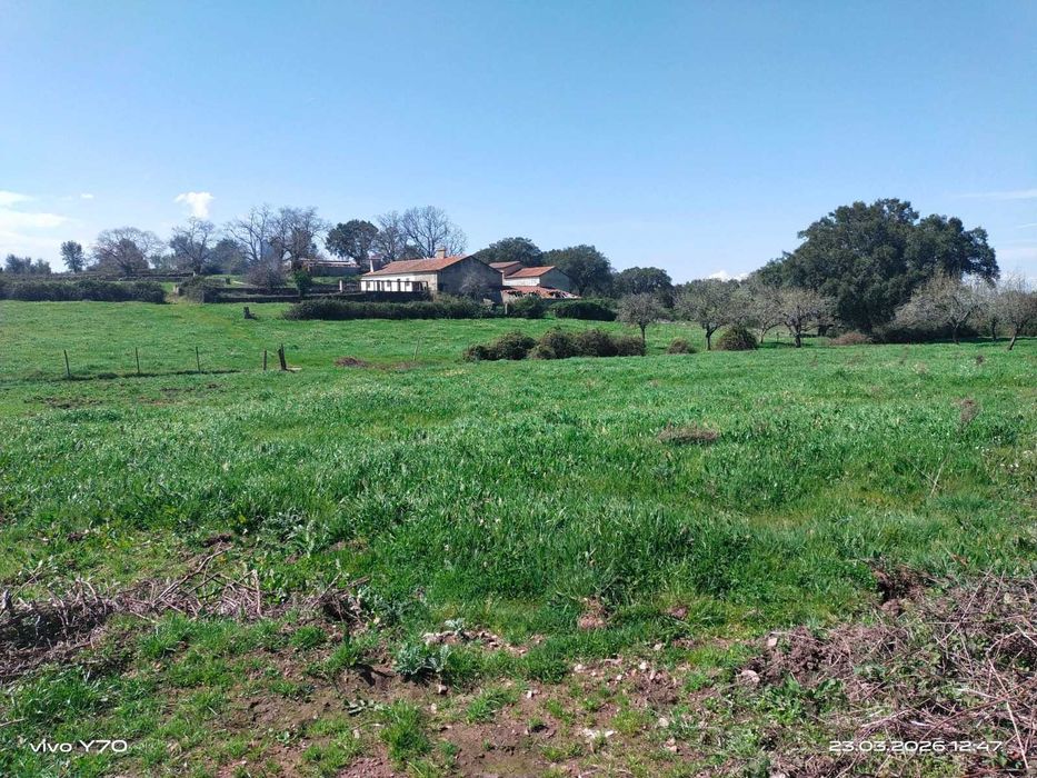 Magnífico monte/herdade, 25 hectares de pura natureza, ideal para quem procura tranquilidade/investimento