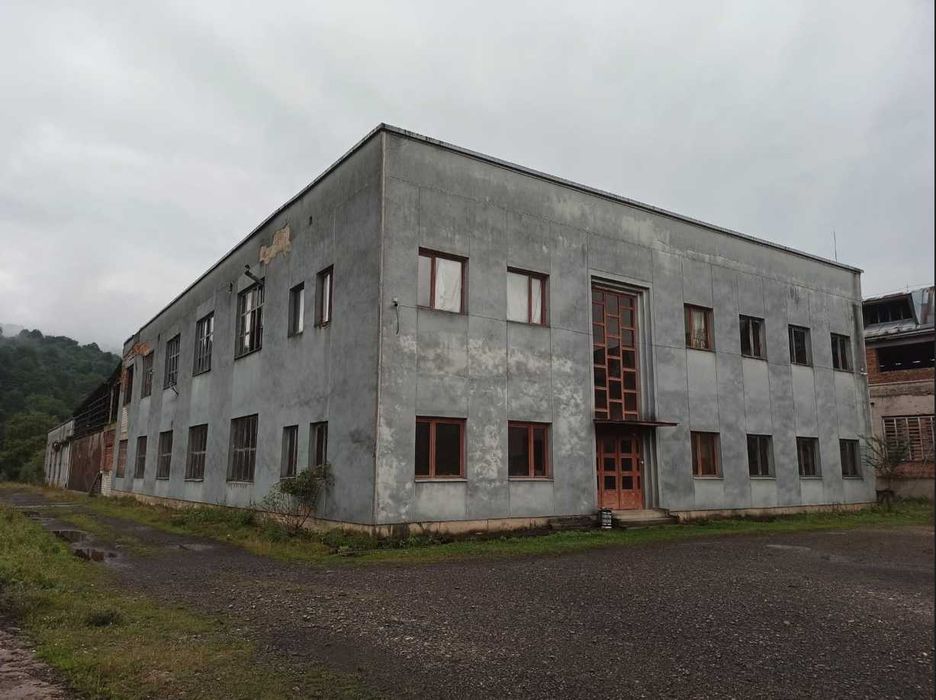 Продаж  консервного  заводу/Великий Бичків