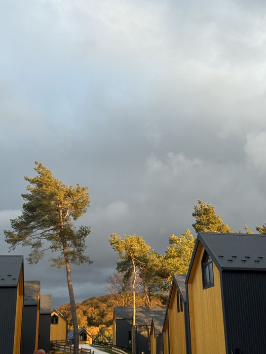 Від Власника , вигляд Топ