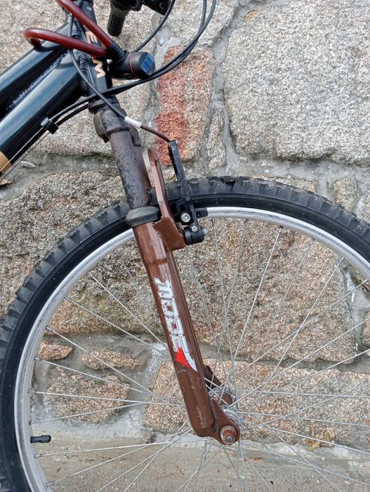 Bicicleta para mulher um criança