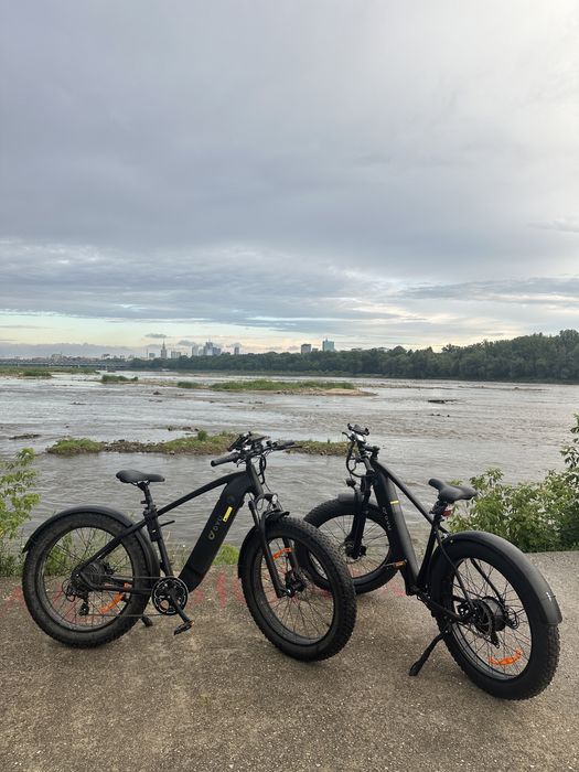 Elektryczne rowery DYU KING 750 W 20Ah