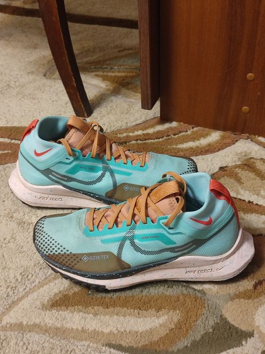 Кросівки Nike Pegasus Trail 4 Gore Tex