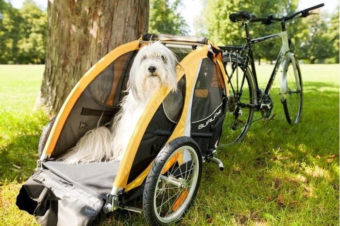Reboque de bicicleta para cães marca Burley