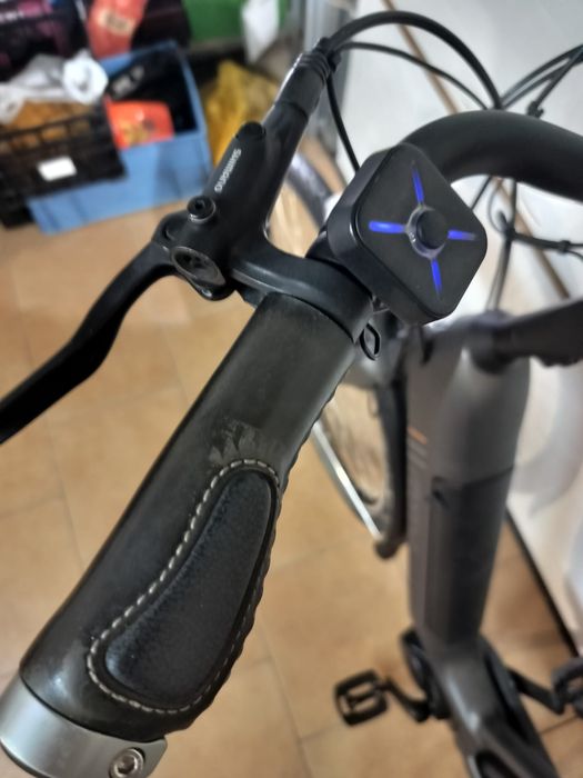 Sprzedam Rich movenda