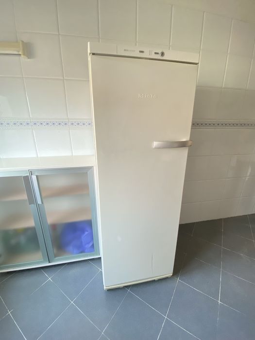 Arca congeladora Miele