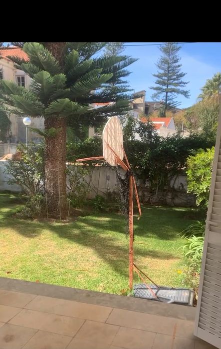 Serviços de jardinagem