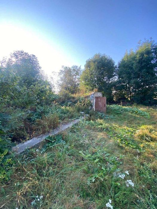 Земельна ділянка з будівлею с.Забороль