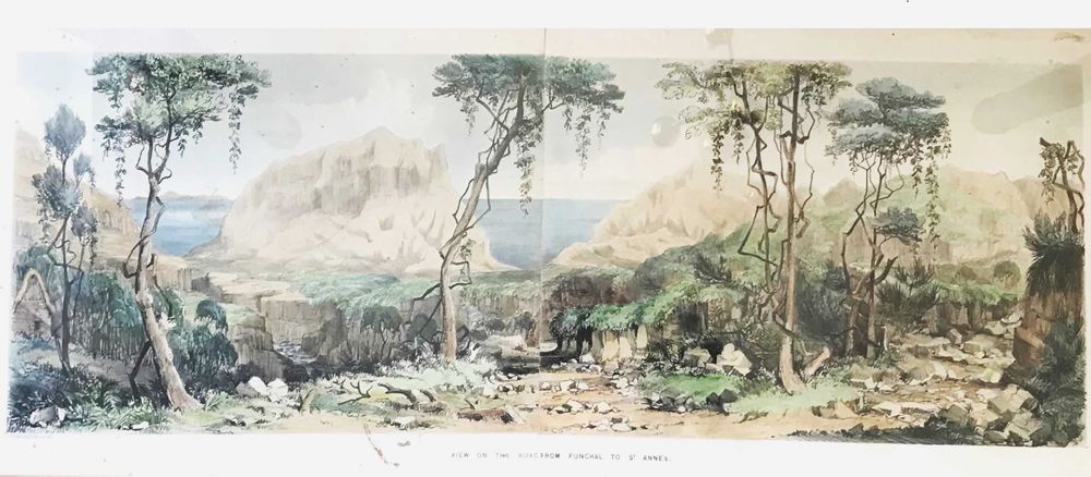 A sensibilidade feminina, numa Obra de Arte sobre a Madeira.