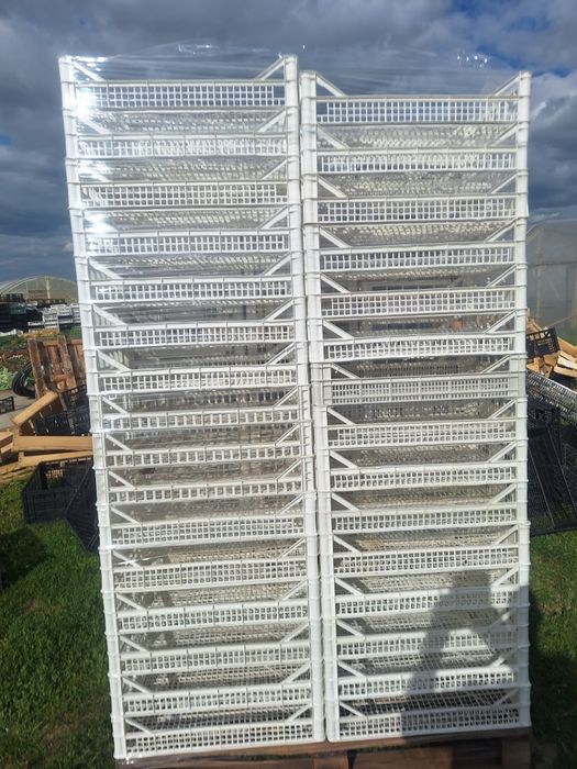 Skrzynki plastikowe 60*40*12