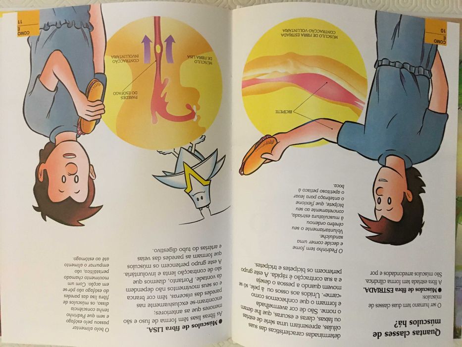 Coleção Era uma vez o Corpo Humano - 30 volumes (incompleta)