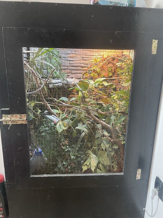 Terrarium tropikalne kameleon/gekon/felsuma