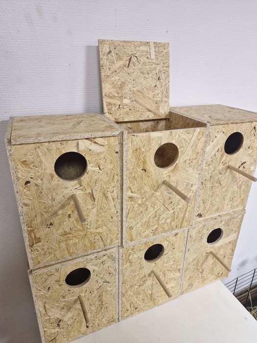 Budki lęgowe dla ptaków papug domek gniazdo budka lęgowa