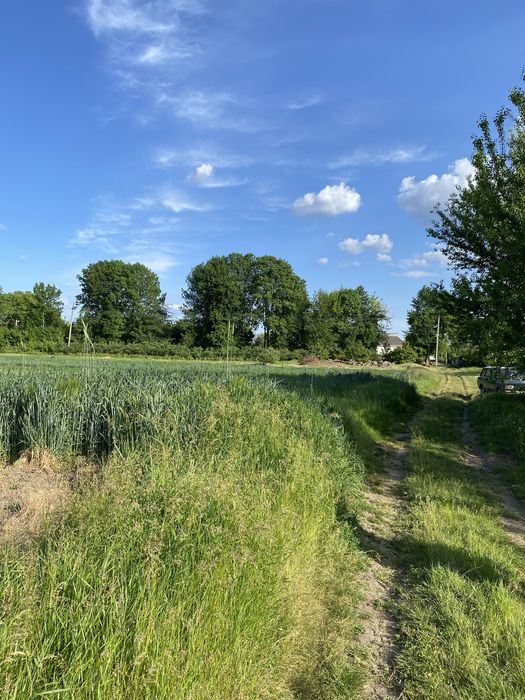 Продам земельну ділянку