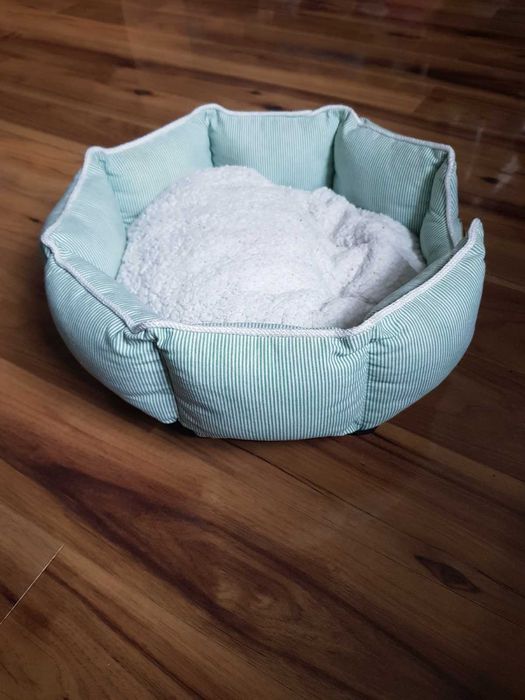 Legowisko dla psa kota w zielone paski Paw Prints wyjmowana poduszka