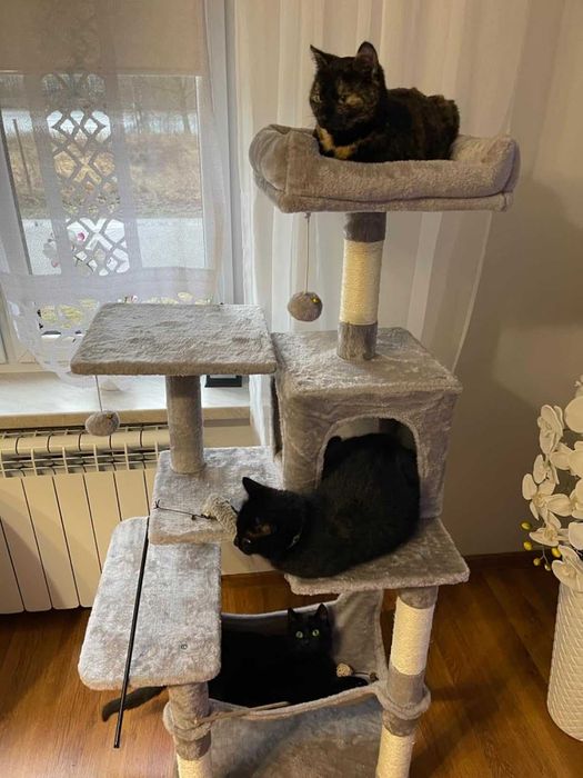 Drapak dla kota Wysoki duży drapak dla kota domek legowisko 143cm NOWY