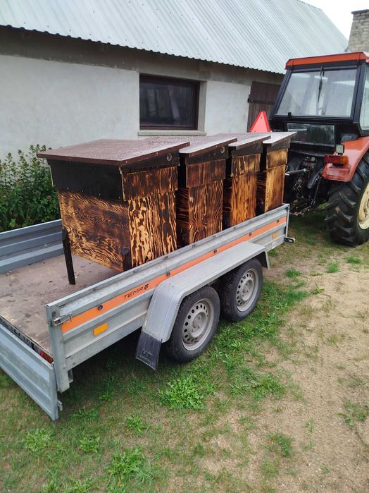 Ul warszawski, ule warszawskie, ule leżaki