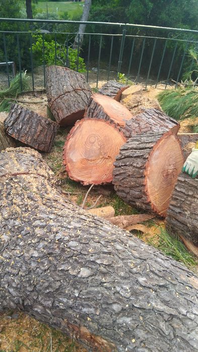 Limpeza de terrenos, quintais e espaços exteriores