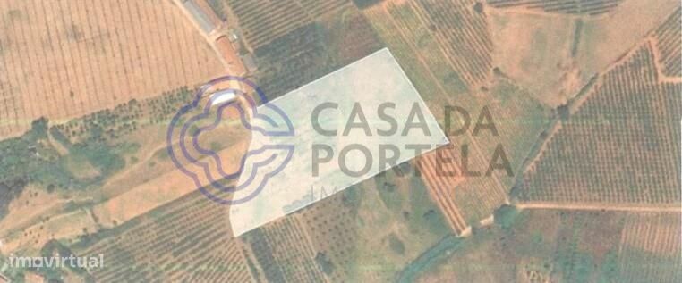 Terreno rústico para produção agrícola