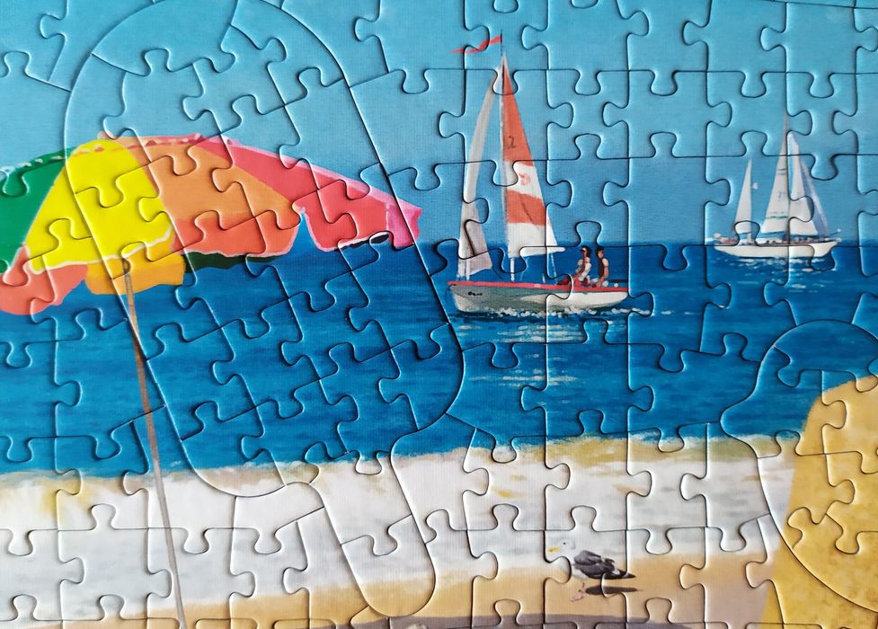 Puzzle Trefl 1011 Hidden shapes Kocie wakacje 1000 ukryte kształty
