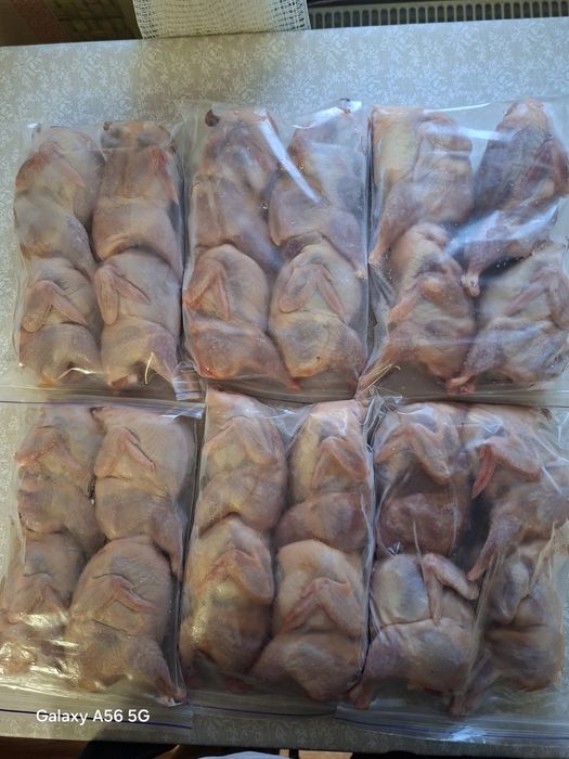 Охолодженні тушки перепілок