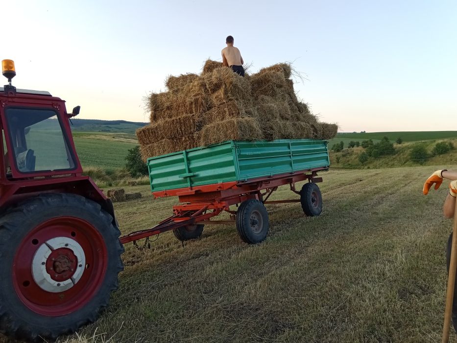 Сіно тюки 2025рік