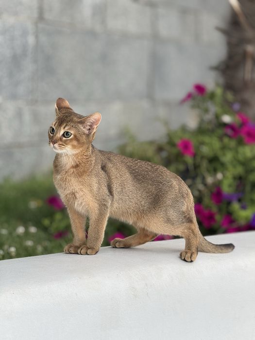 Найніжніший хлопчик чекає на улюблену родину