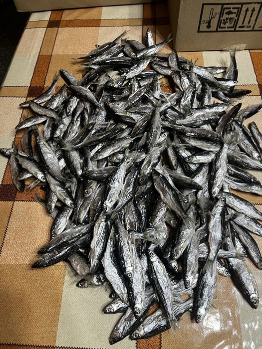 Вялена верховодка,дуже смачна