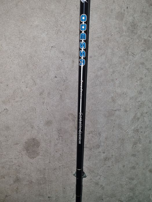 Canas de pesca embarcada