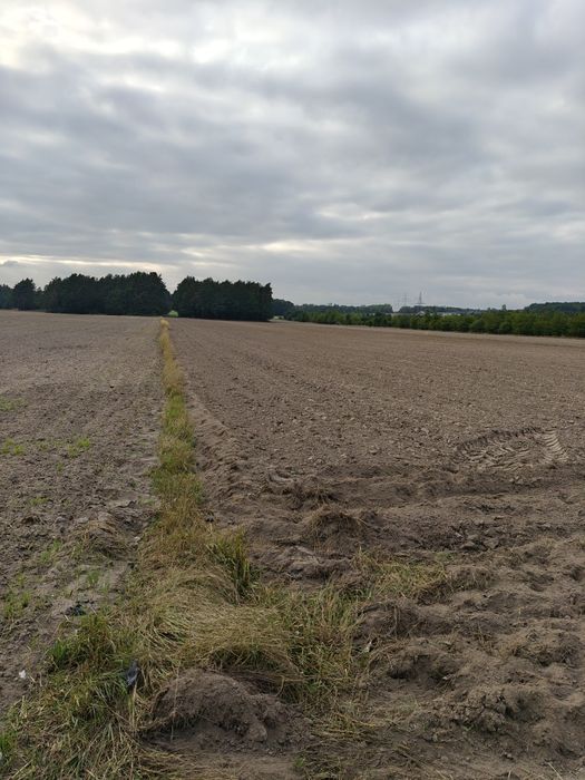 Atrakcyjne działki  1000m² w Serocku