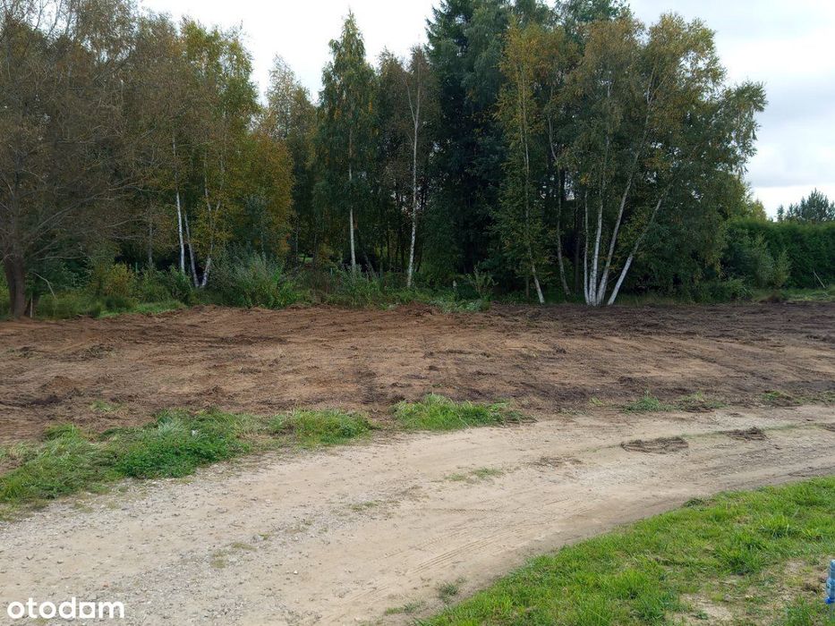 Łapino Kartuskie k/ Kolbud - Widok 5