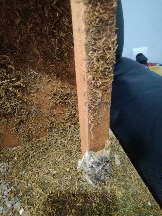 PRESÉPIO . Estabulo onde nasceu Jesus