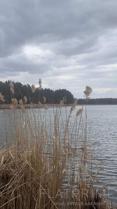Продаж земельної ділянки с Веприк .Фастів