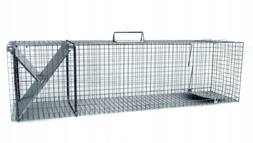 Transporter dla zwierząt