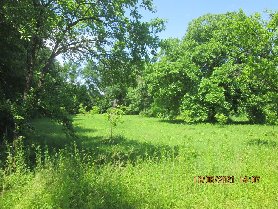 Продам будинок с. Косиківці